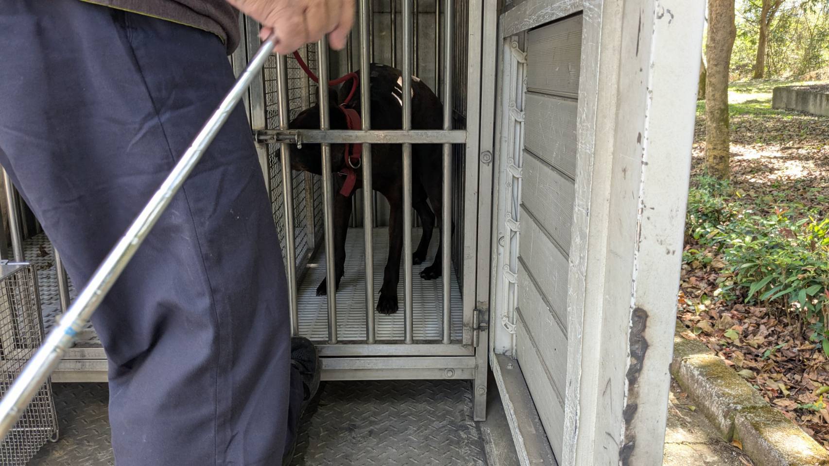 1130814防治所帶回