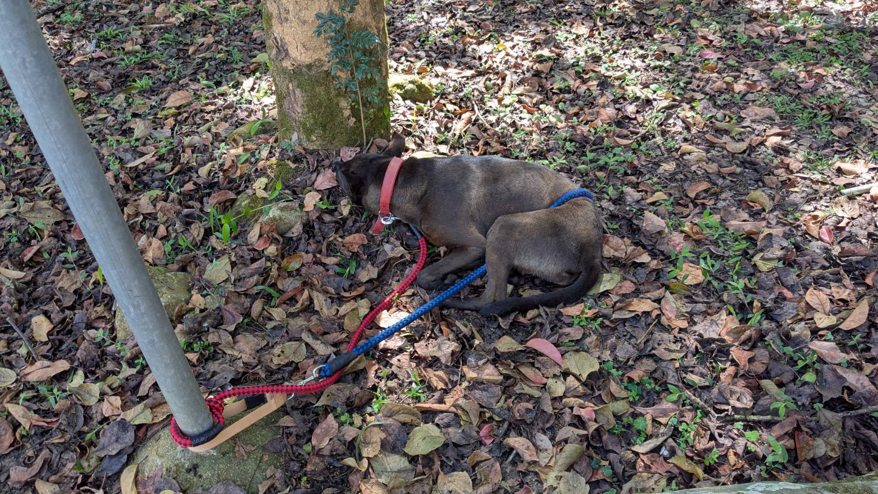 1150302餐廳區捕捉