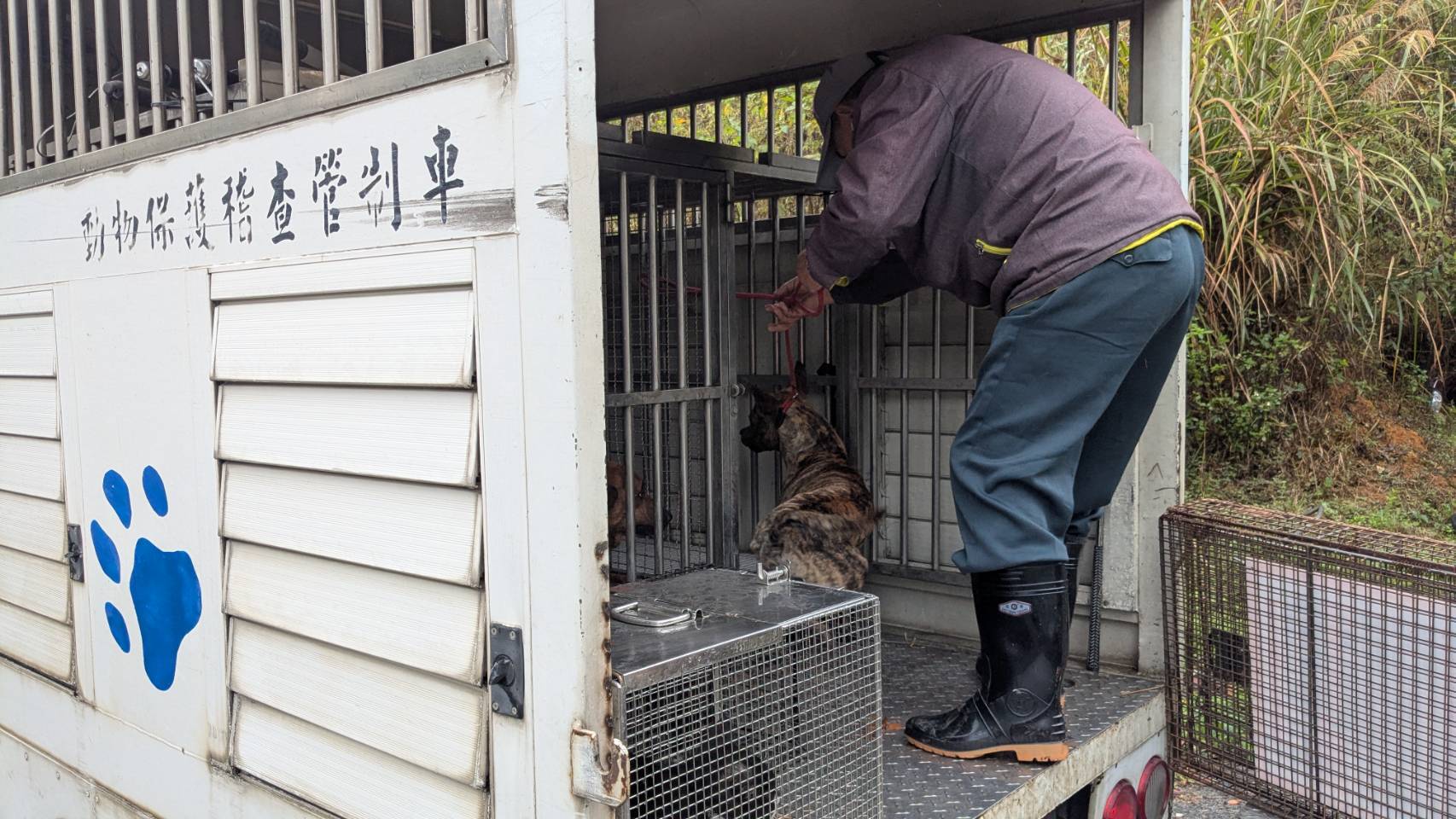 1130814防治所帶回