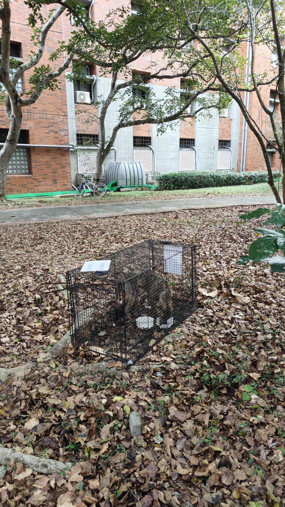 1150302餐廳區捕捉